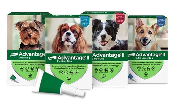 Advantage II Brand Feature