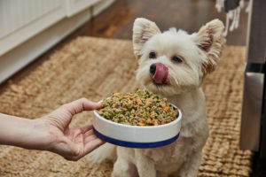Food Toppers What's on Your Dog's Plate