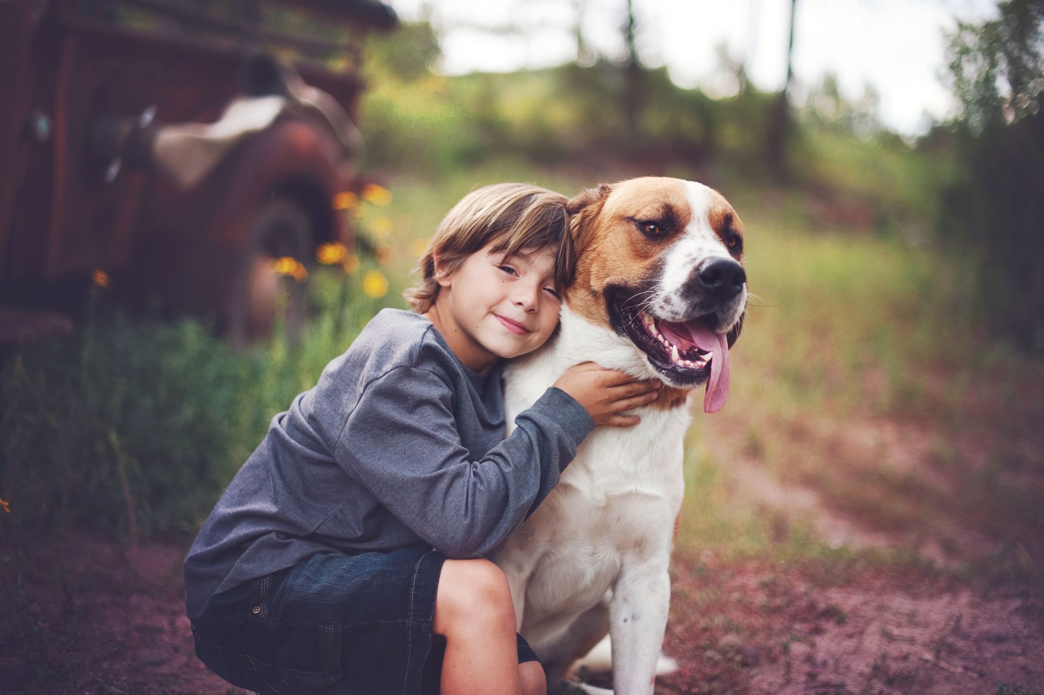 Helping Your Dog Get Along With Children