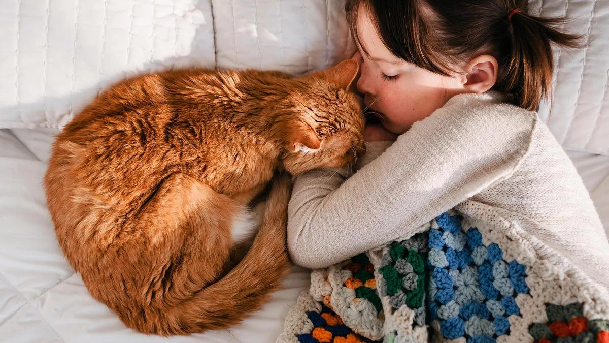 Top 12 Cats That Are Good With Kids
