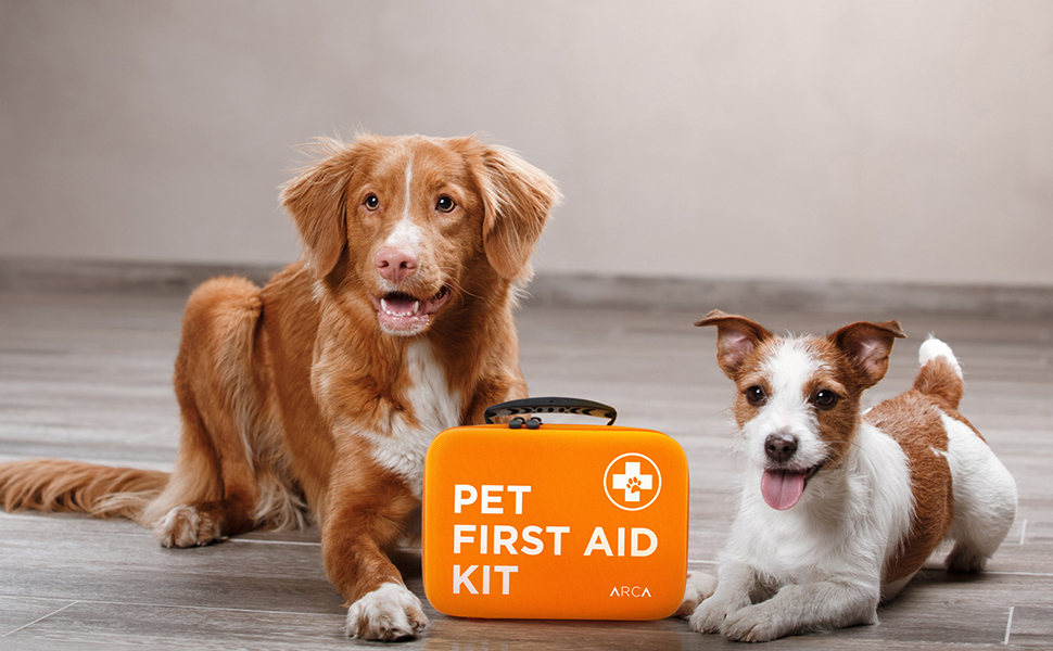 Why Should You Have a Pet First Aid Kit in Your Car?