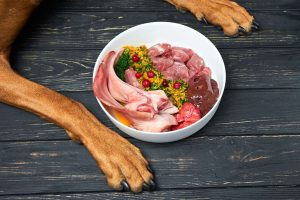The Benefits and Drawbacks of a Raw Food Diet for Dogs