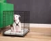 4 Crate Training Tips for Your Dog